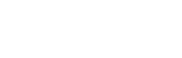 looptimize